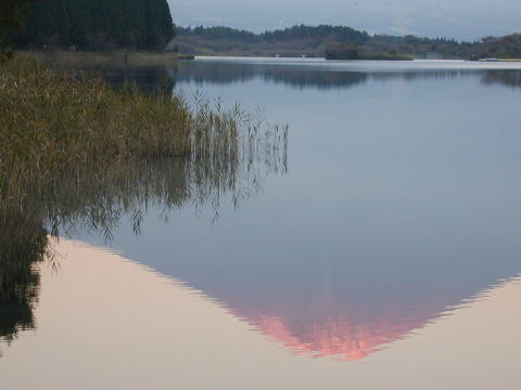 田貫湖に写る赤富士